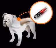 RFID-Tierverfolgungschip, injizierbarer Tier-Mikrochip, Haustier-Mikrochip